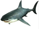 Great White Shark Upper Wall Decal