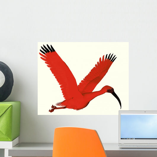 Scarlet Ibis Wall Decal