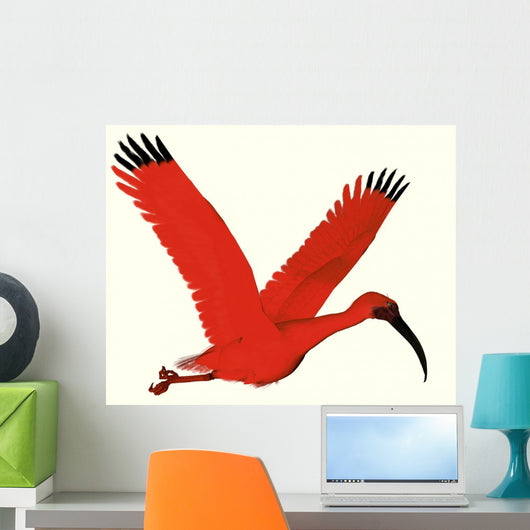 Scarlet Ibis Wall Decal