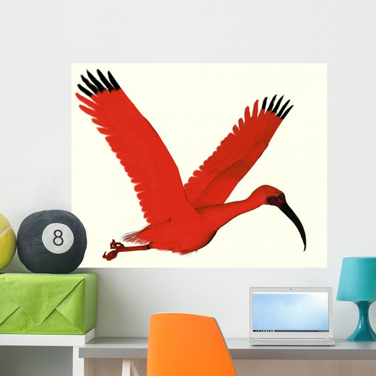 Scarlet Ibis Wall Decal