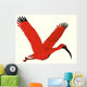 Scarlet Ibis Wall Decal
