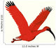 Scarlet Ibis Wall Decal