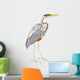 Oiseaux Heron Pourpre