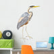 Oiseaux Heron Pourpre