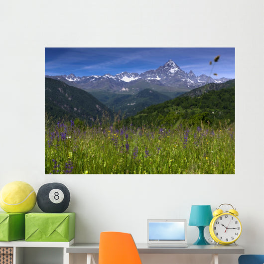 Monviso
