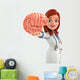 Young Doctor with brain anatomy Wall Decal