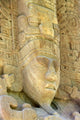 Quirigua Maya Head