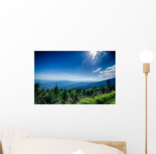 A wide view of the Great Smoky Mountains from the top of Clingma Wall Mural