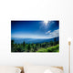A wide view of the Great Smoky Mountains from the top of Clingma Wall Mural