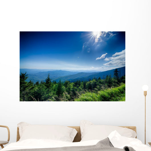 A wide view of the Great Smoky Mountains from the top of Clingma Wall Mural