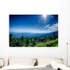 A wide view of the Great Smoky Mountains from the top of Clingma Wall Mural