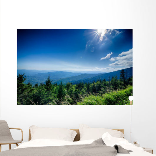 A wide view of the Great Smoky Mountains from the top of Clingma Wall Mural