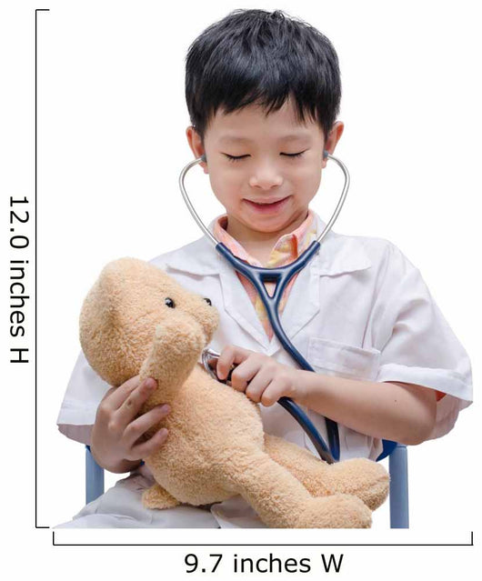Young Asian doctor boy playing and curing bear toy isolated on w Wall Decal