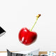 Single Cherry Wall Decal