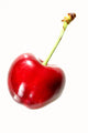 Single Cherry Wall Decal