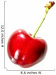 Single Cherry Wall Decal