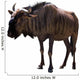 Blue Wild Wildebeest Wall Decal