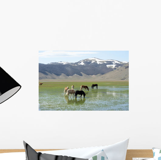 Castelluccio Di Norcia Plateau