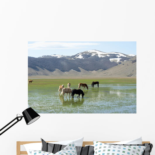 Castelluccio Di Norcia Plateau