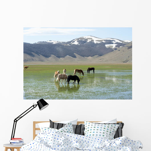 Castelluccio Di Norcia Plateau