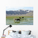 Castelluccio Di Norcia Plateau
