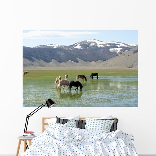 Castelluccio Di Norcia Plateau