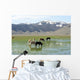 Castelluccio Di Norcia Plateau