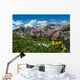 Colorado Landscape Wall Mural