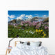 Colorado Landscape Wall Mural