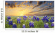 Bluebonnets Texas Hill Country