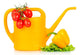 Watering Can Veggie Gardening Wall Decal