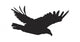 Eagle in Flight Wall Decal