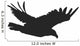 Eagle in Flight Wall Decal