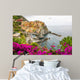 Manarola