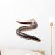 Lamprey Fish Wall Decal