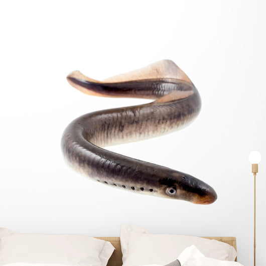 Lamprey Fish Wall Decal