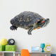 Red-eared Slider