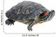 Red-eared Slider