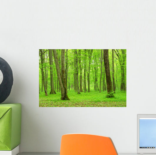 Green Forest