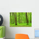Green Forest
