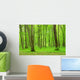 Green Forest