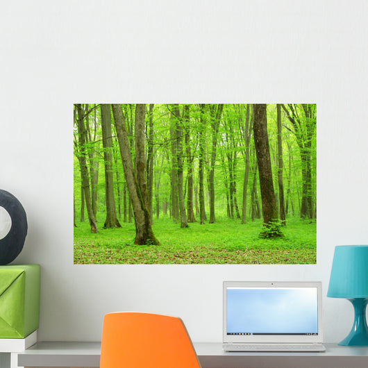 Green Forest
