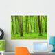 Green Forest