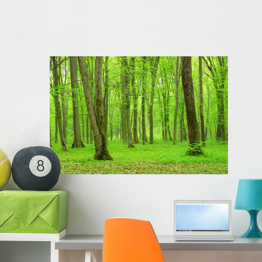 Green Forest