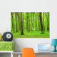 Green Forest