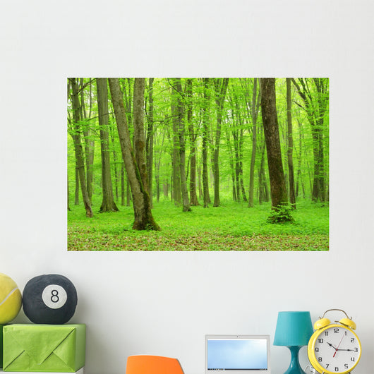 Green Forest