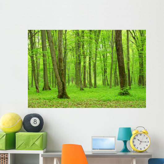 Green Forest