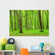 Green Forest