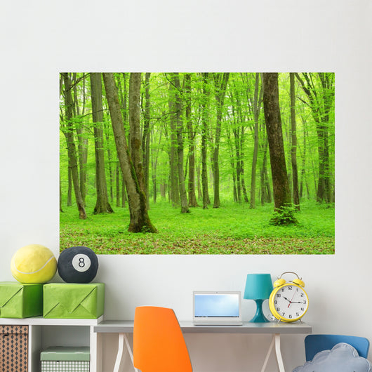 Green Forest