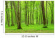 Green Forest